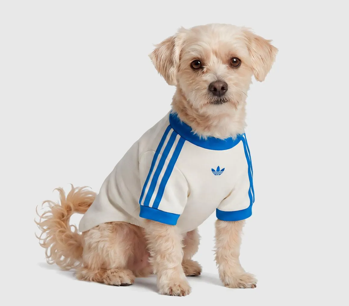 Pet Cali Tee