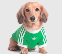 Pet Cali Tee