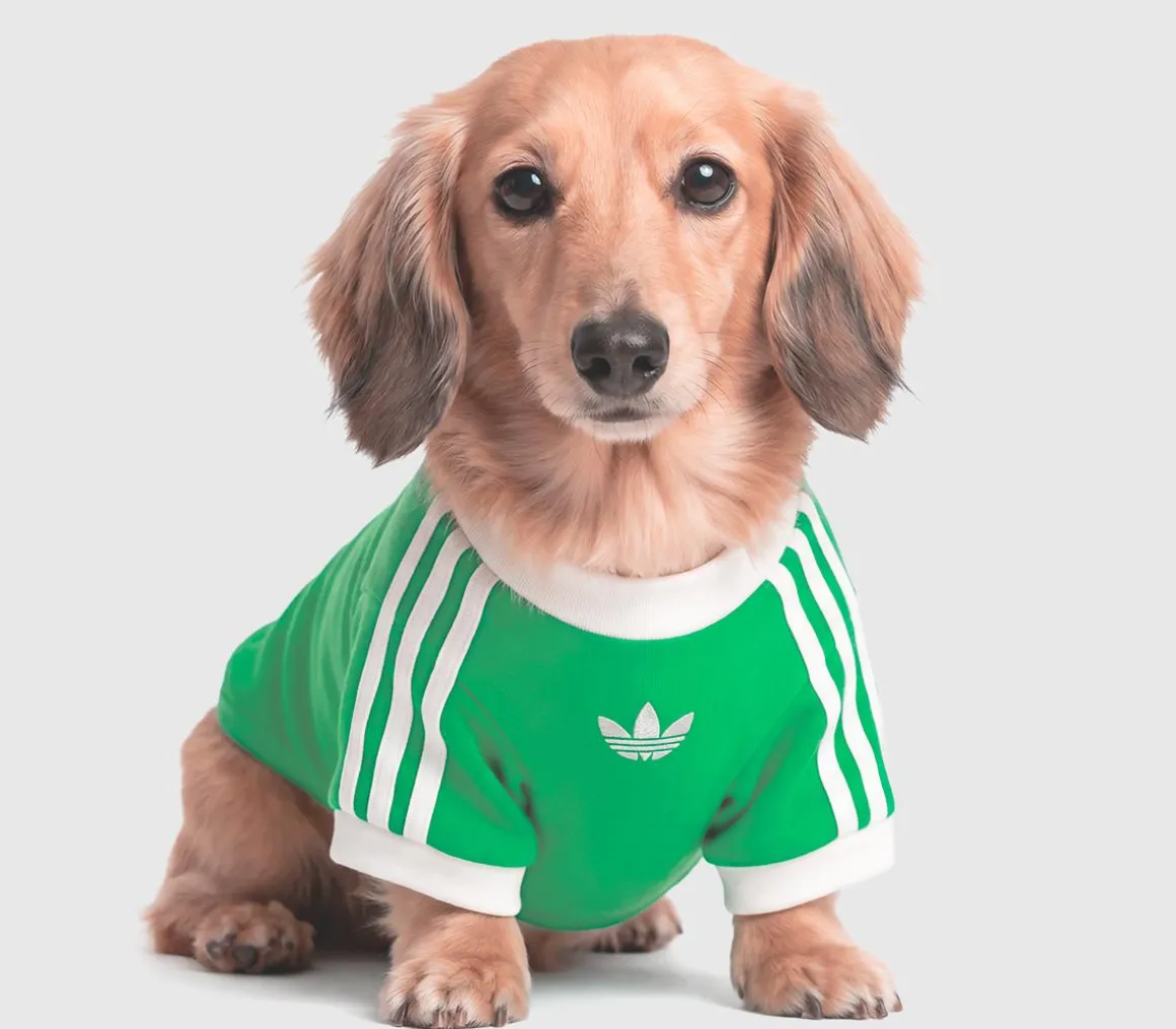 Pet Cali Tee