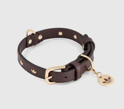 Pet Collar