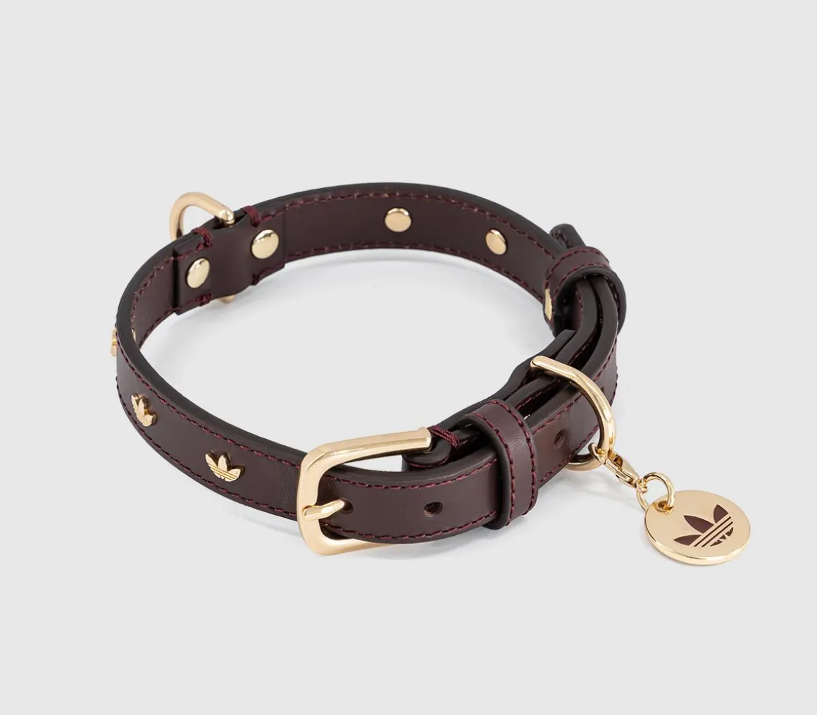 Pet Collar