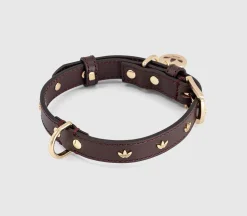 Pet Collar