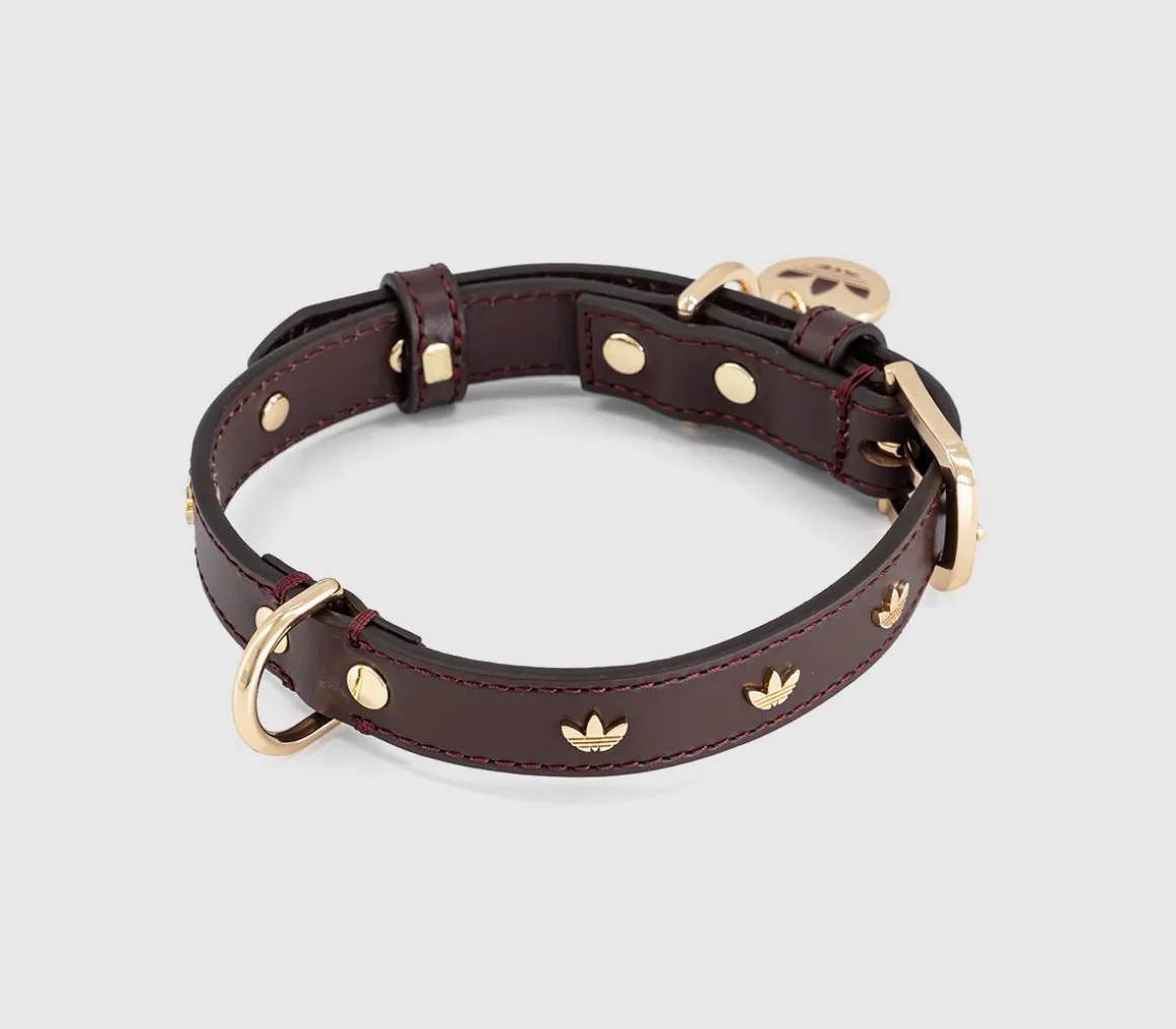 Pet Collar