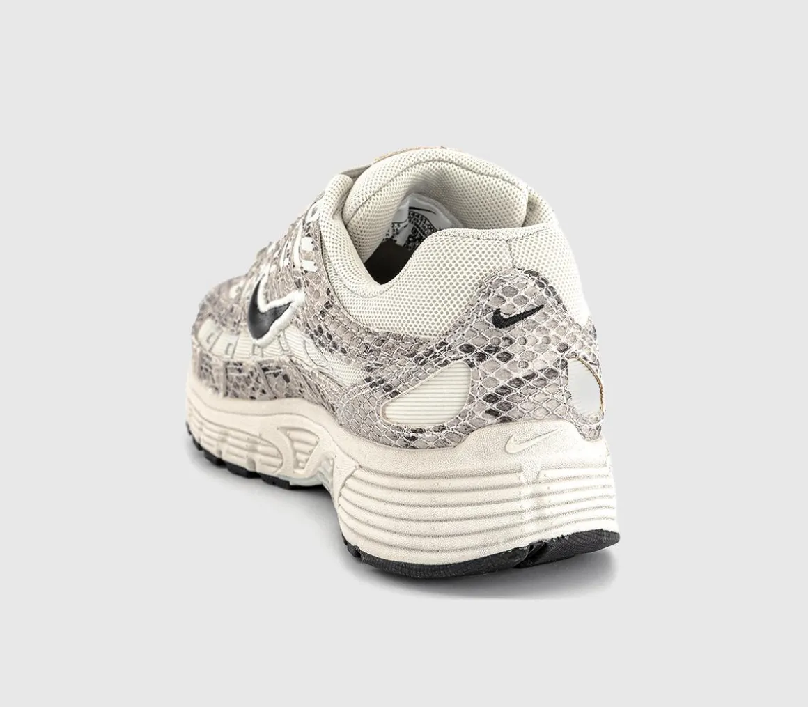 P-6000 Trainers