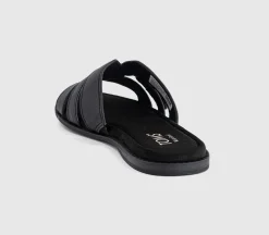 Sol Sliders