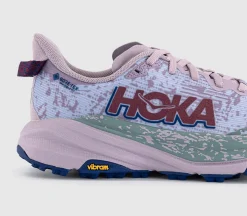 Speedgoat 6 GTX Trainers