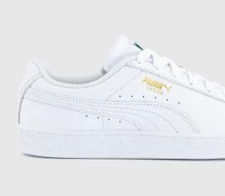 Suede Classic Trainers