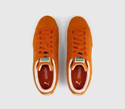 Suede Classic Trainers