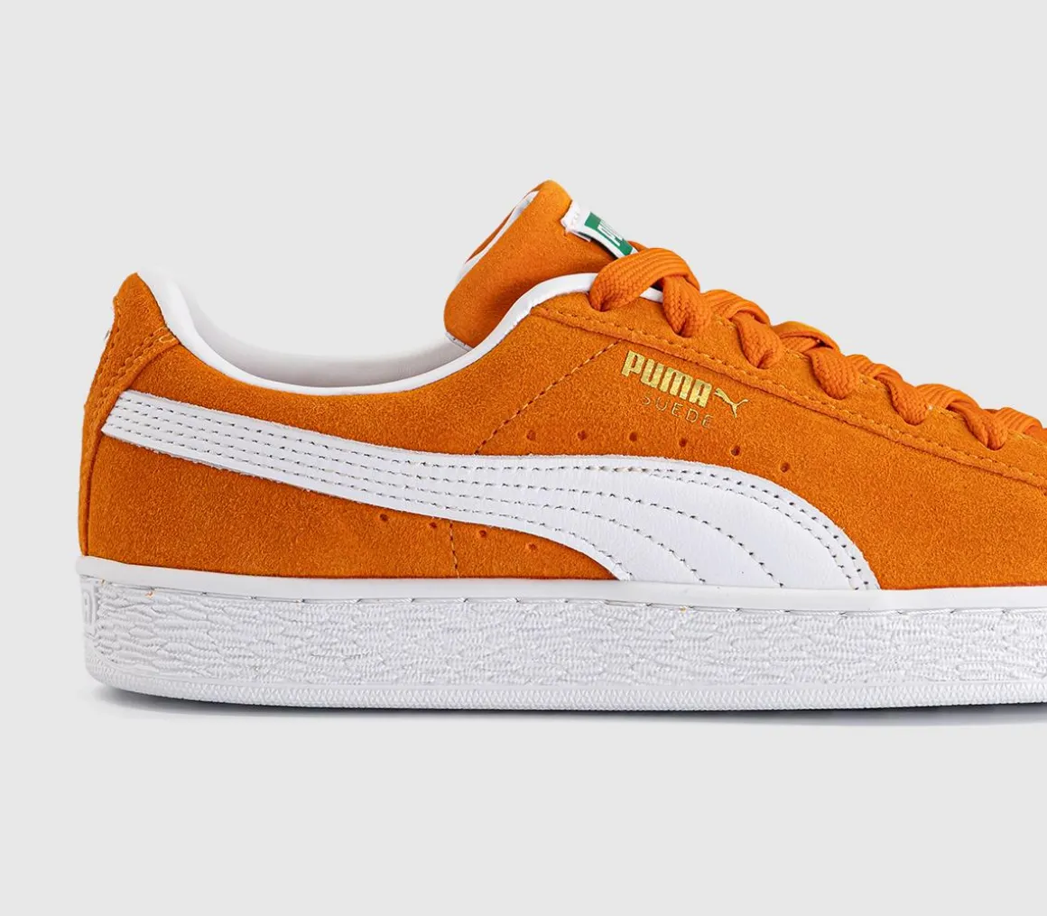 Suede Classic Trainers
