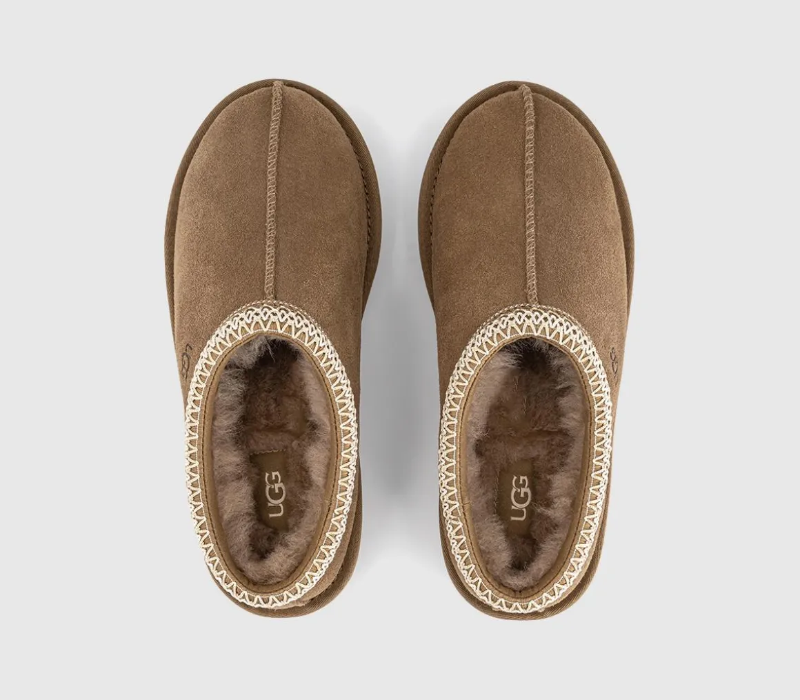 Tasman II Slippers