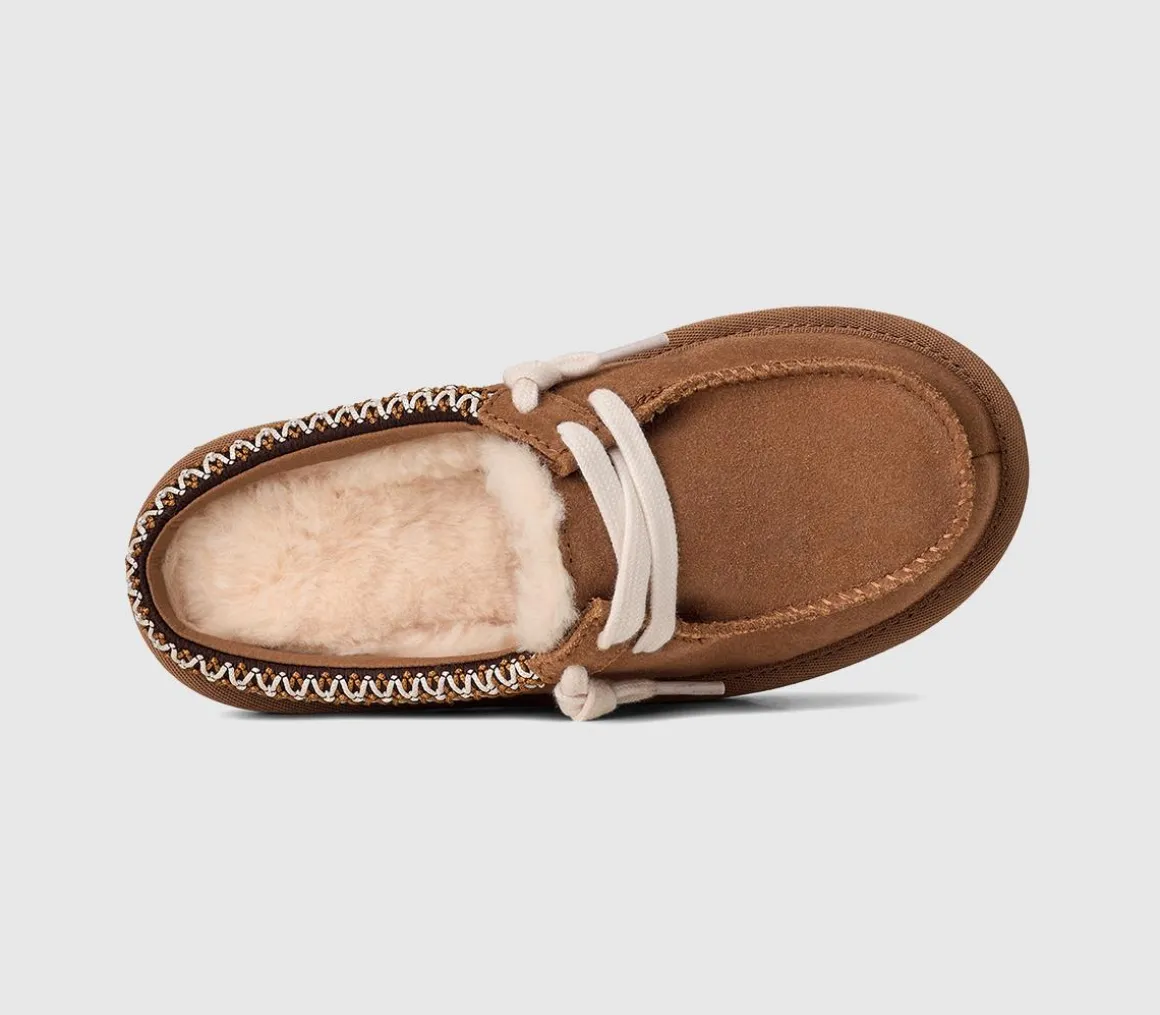 Tasman Mules Kids