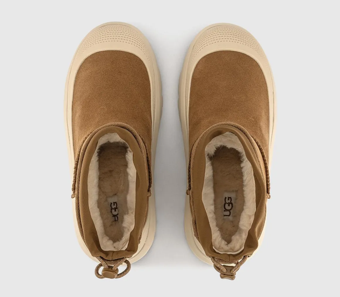 Tasman Weather Hybrid Hi Boots