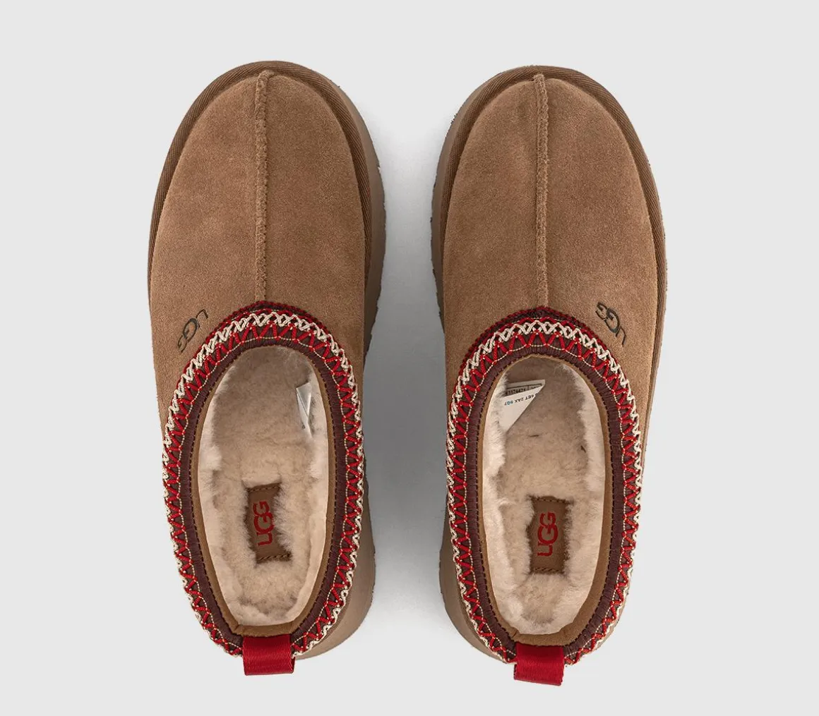 Tazz II Slippers
