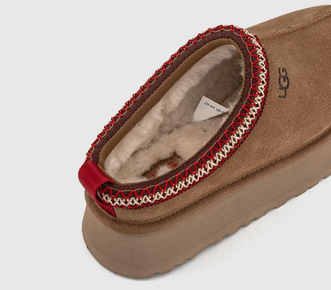 Tazz II Slippers