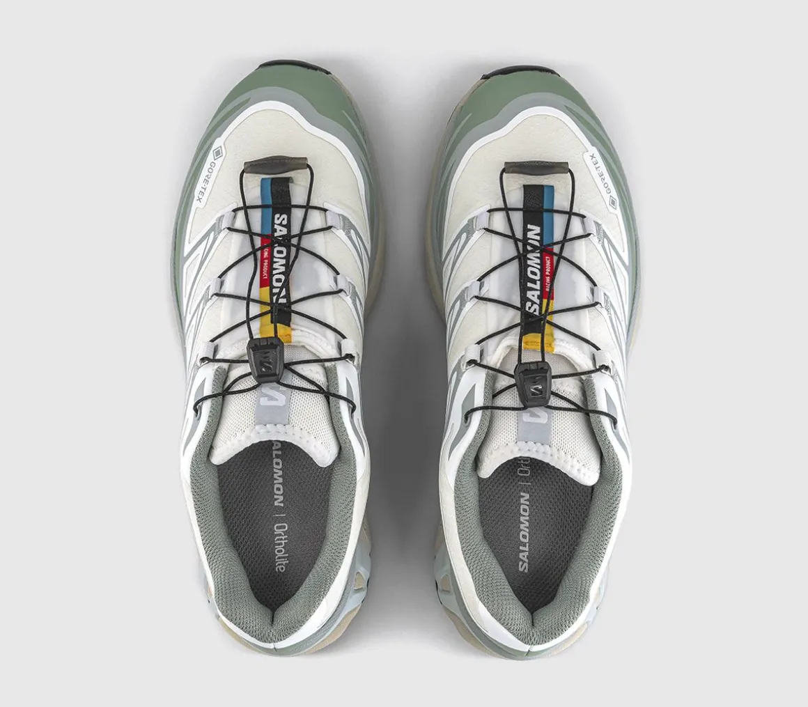 XT-6 GTX Trainers