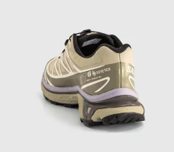 XT-6 GTX Trainers