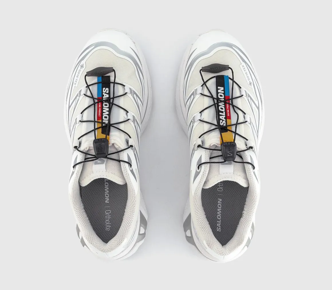 XT-6 GTX Trainers