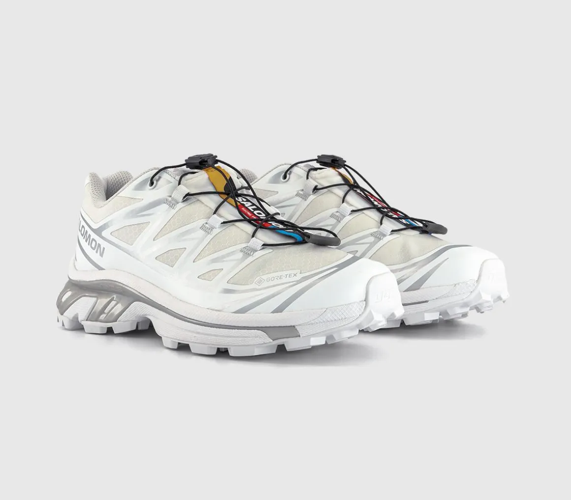 XT-6 GTX Trainers