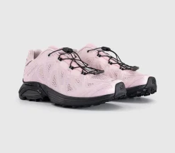 XT-Whisper Void Trainers